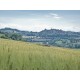 OLD COUNTRY HOUSE IN PANORAMIC POSITION IN LE MARCHE Farmhouse to restore with beautiful views of the surrounding hills for sale in Italy in Le Marche_28